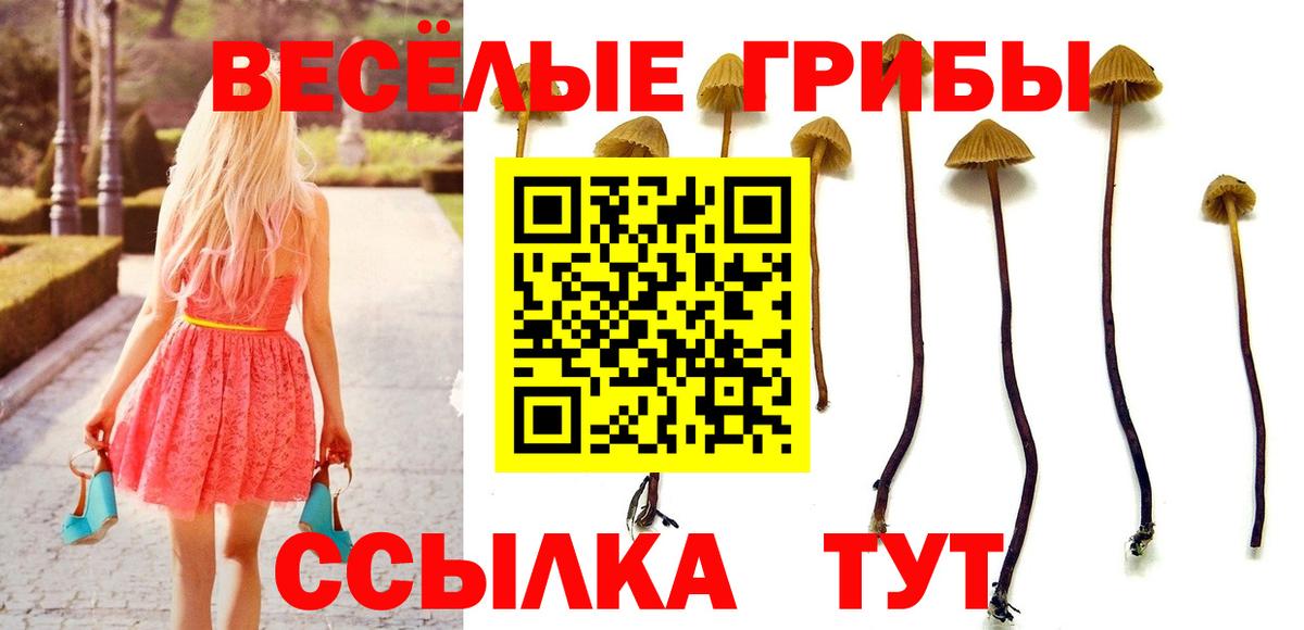 Коломна  Галлюциногенные грибы GOLDEN TEACHER  Вход с VPN 